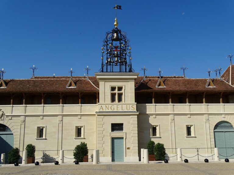 Château Angelus - Vinicole - Saint-Émilion